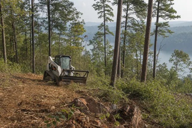 Compact track loader with a mulching head clearing underbrush between pines above a lake